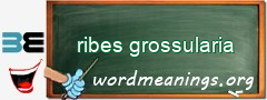 WordMeaning blackboard for ribes grossularia